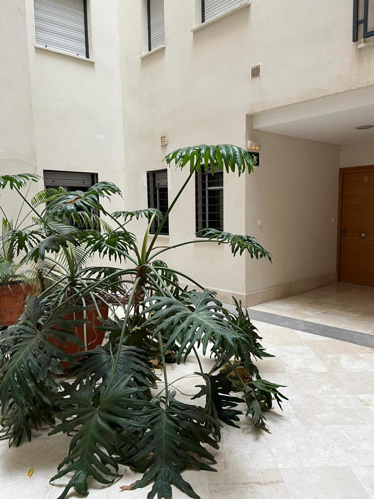 Habitaciones Privadas En Apartamento Compartido الجيسايرس المظهر الخارجي الصورة
